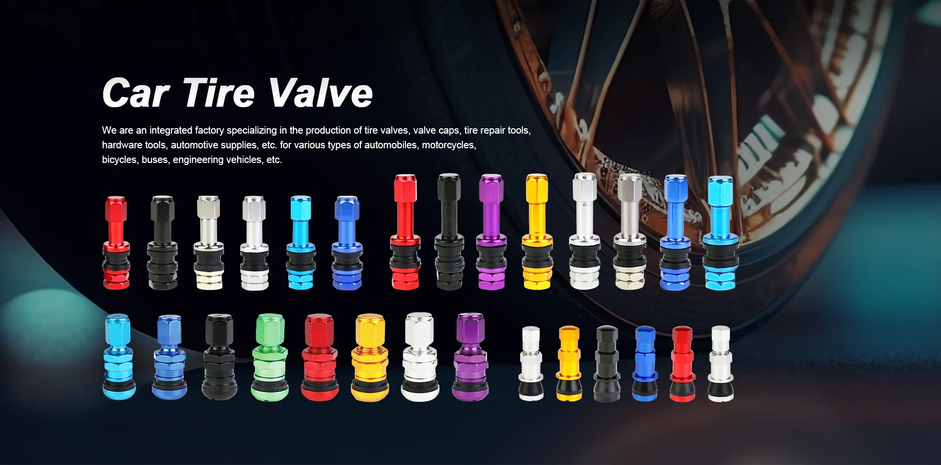 Car Tire Valve Supplier